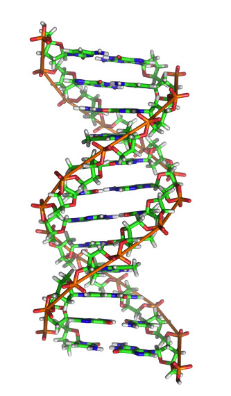 DNA